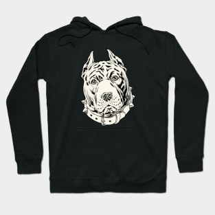 Puzzled Pitbull Hoodie